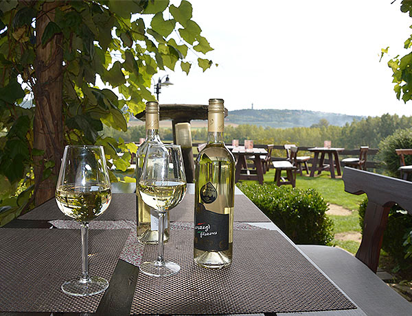 Balaton k�rny�ki bort�r�k